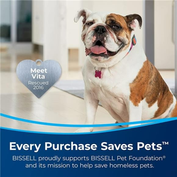 BISSELL Little Green Pro Portable Carpet & Upholstery Cleaner - Picture 3 of 6